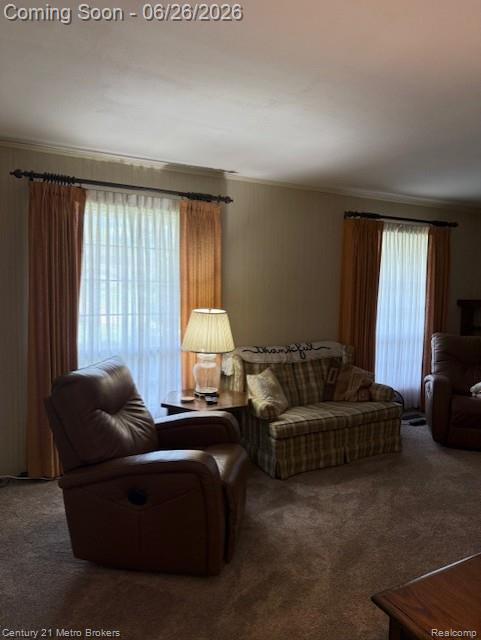 6096 Pebbleshire Drive, Grand Blanc, MI 48439 — Photo 17