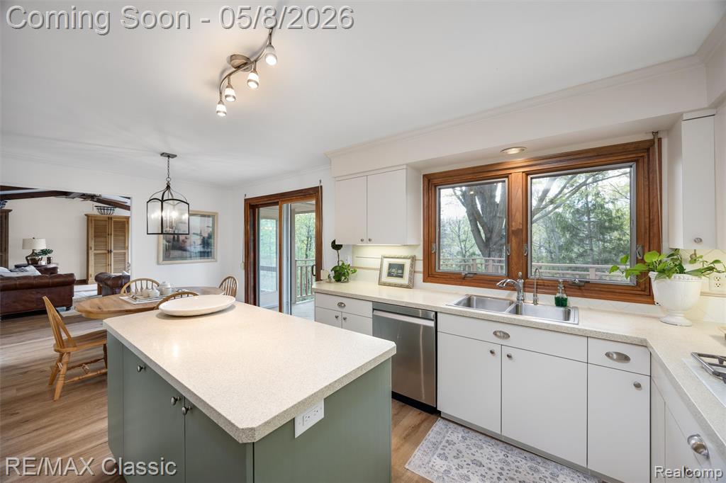 20419 Woodcreek Boulevard, Northville, MI 48167 — Photo 16