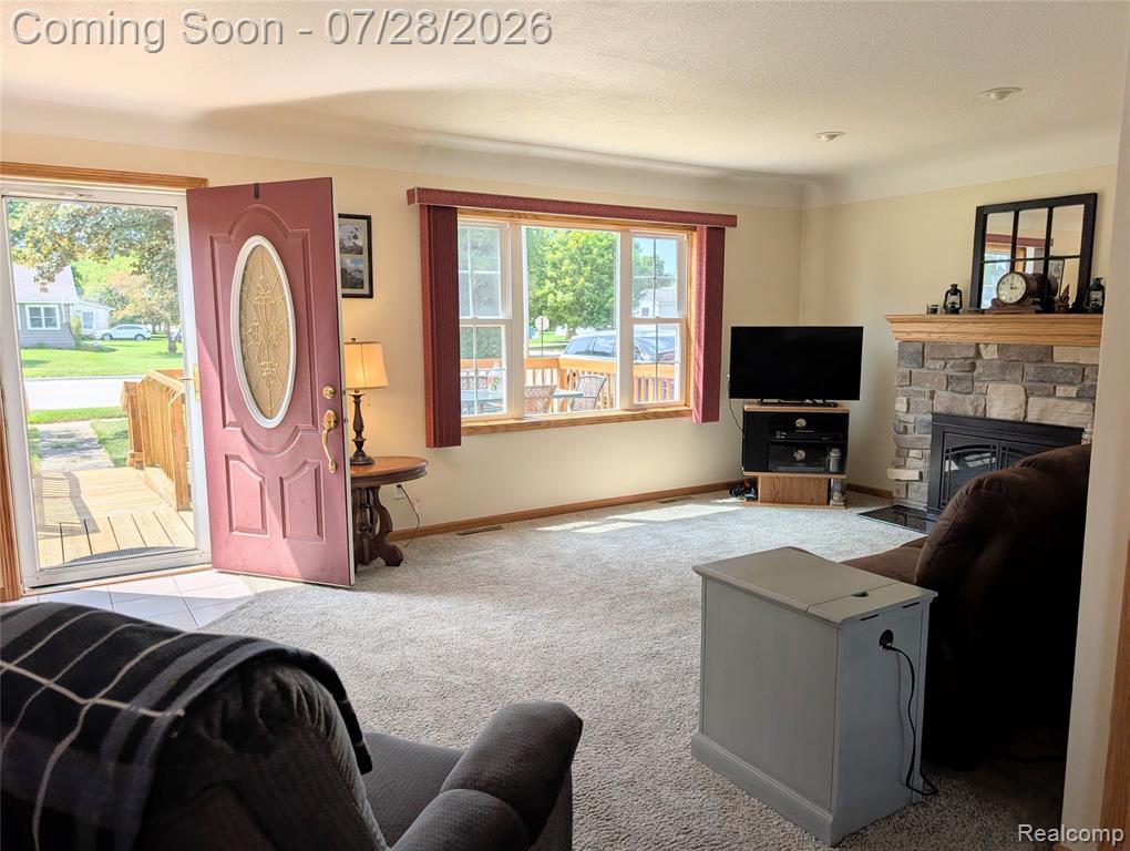 524 S Port Crescent Street, Bad Axe, MI 48413 — Photo 6