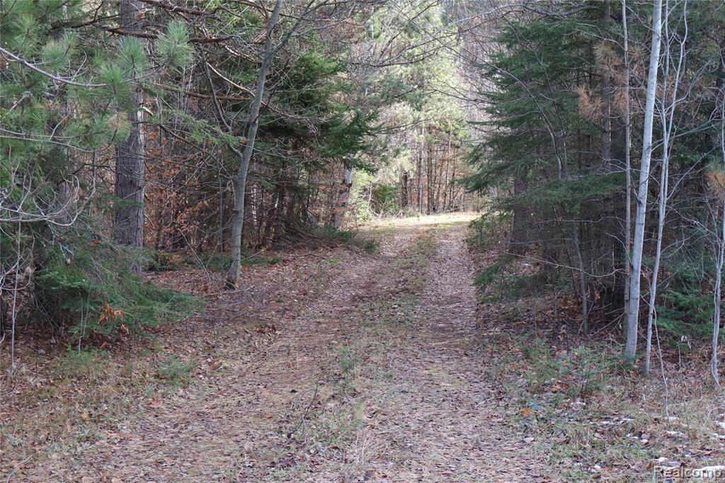 #A W Pendills Lake Road, Brimley, MI 49715 — Photo 12