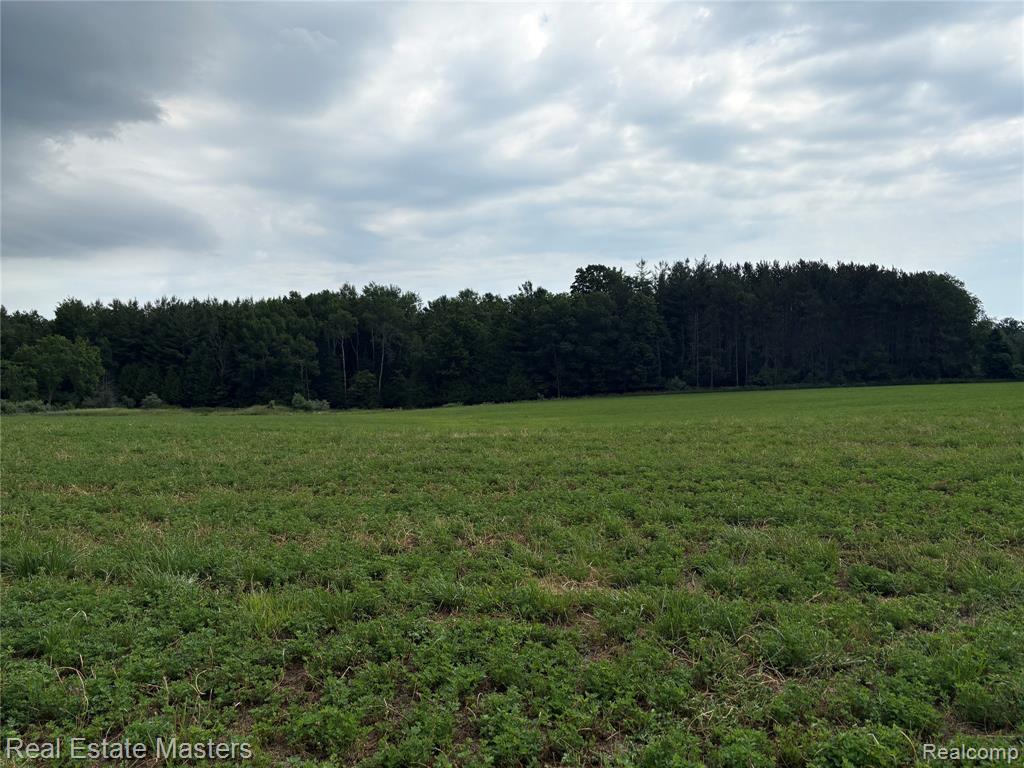 300 W Hubert Road, Spruce, MI — Photo 13