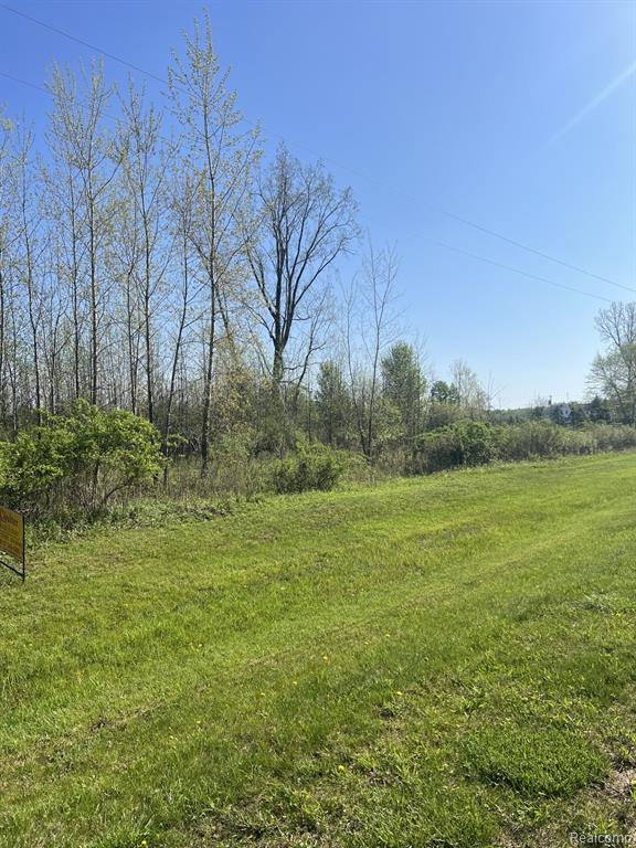 VL Turtle Lake Road, North Branch, MI 48461 — Photo 3