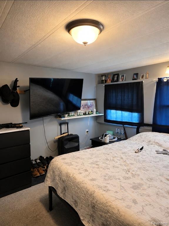 26711 Q Drive N, Albion, MI 49224 — Photo 26