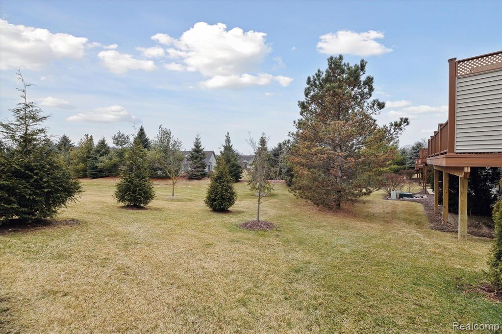 6062 GREEN ASH Drive, 36, Brighton, MI 48116 — Photo 44