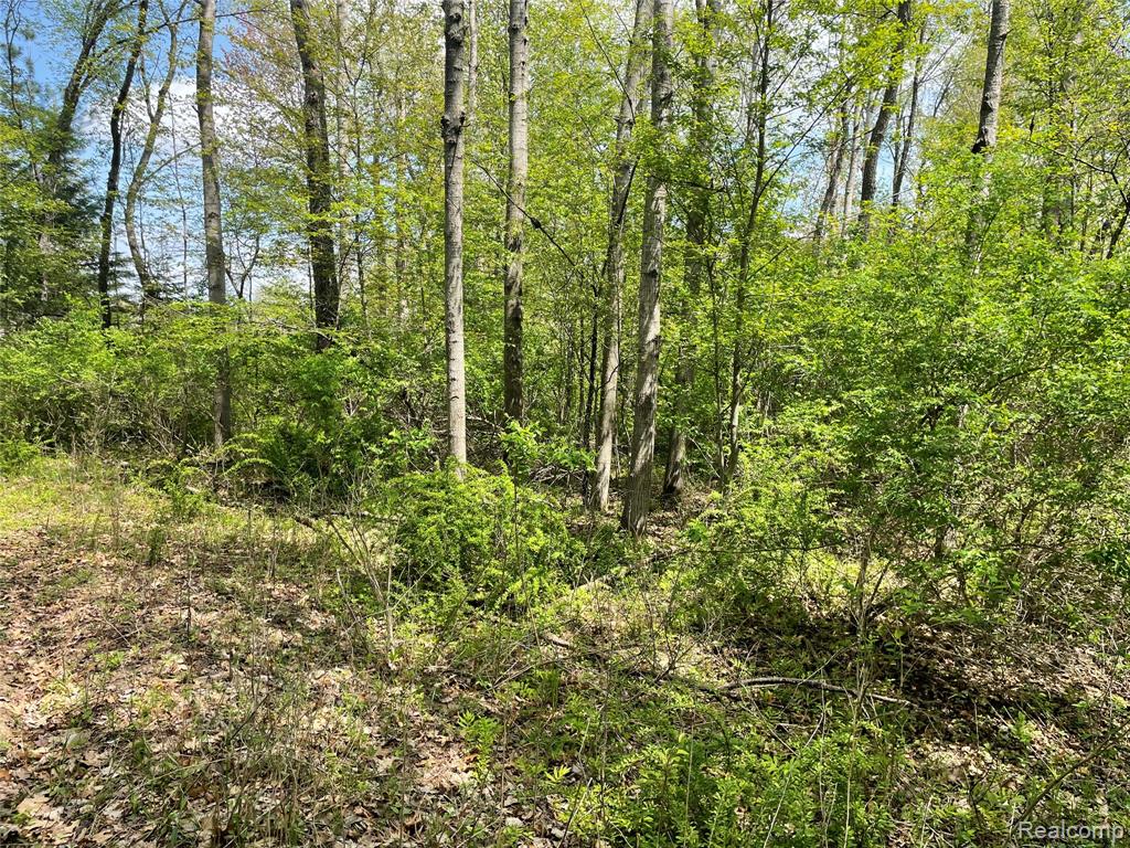 NA Oakridge Drive, Au Gres, MI 48703 — Photo 7