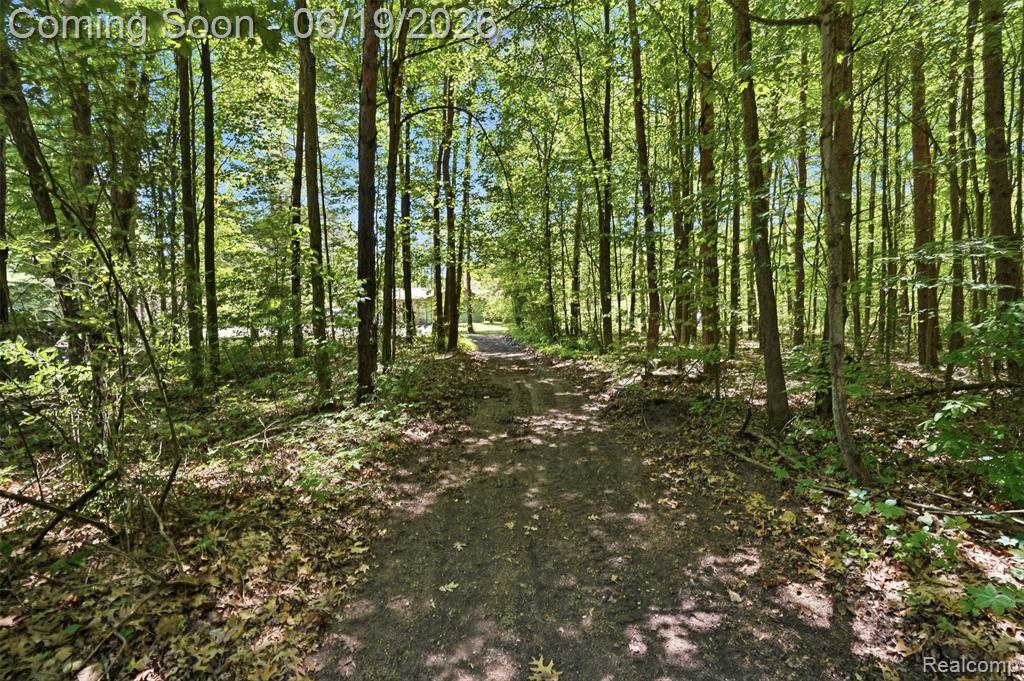 3167 Roods Lake Road, Lapeer, MI 48446 — Photo 31