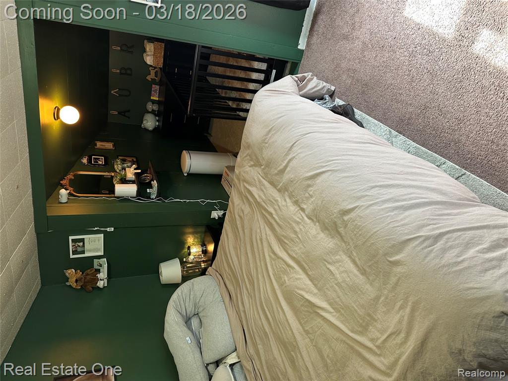 200 S Hayes Street, Farwell, MI 48622 — Photo 17