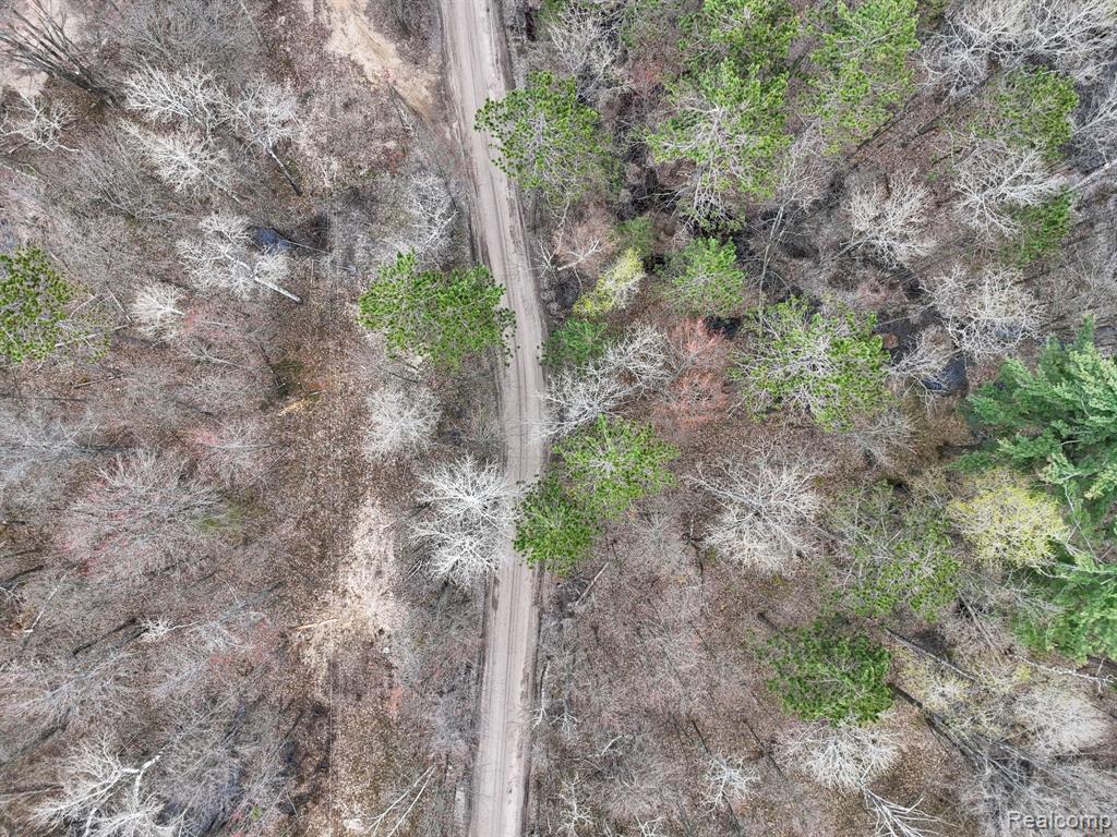 Parcel A 32 1/2 Road, Cadillac, MI 49601 — Photo 16