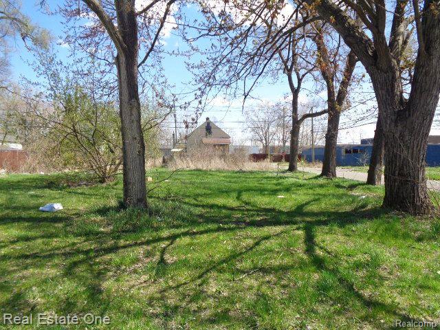 11808 SAINT LOUIS Street, Hamtramck, MI 48212 — Photo 3