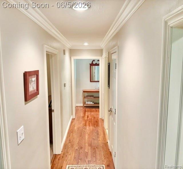 19141 Warwick Street, Franklin, MI 48025 — Photo 24