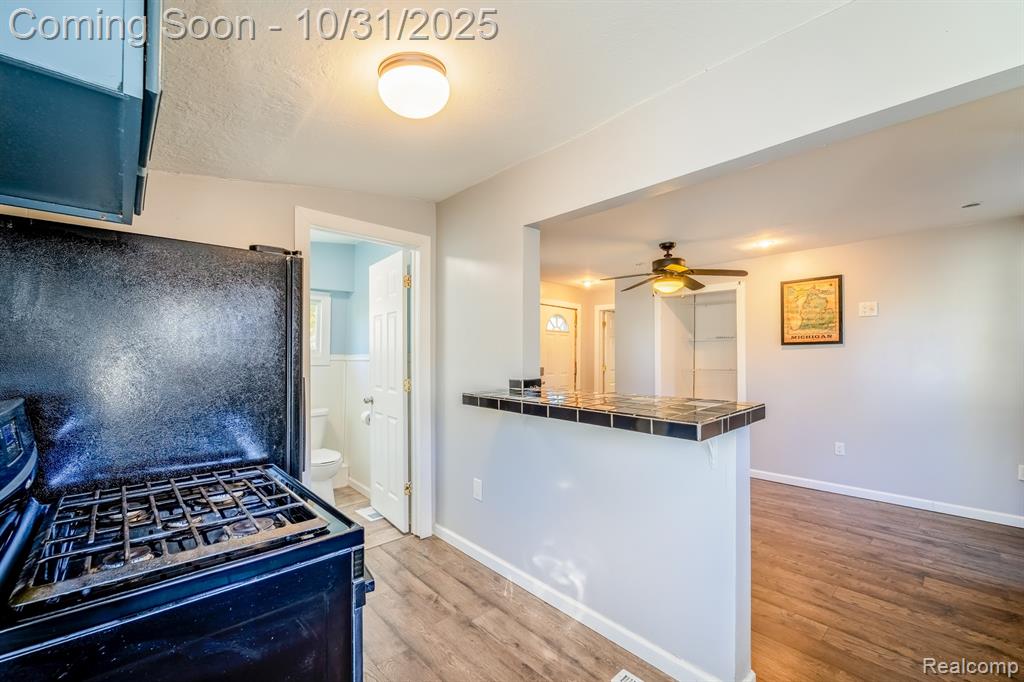 4369 Avenue B, Newport, MI 48166 — Photo 9