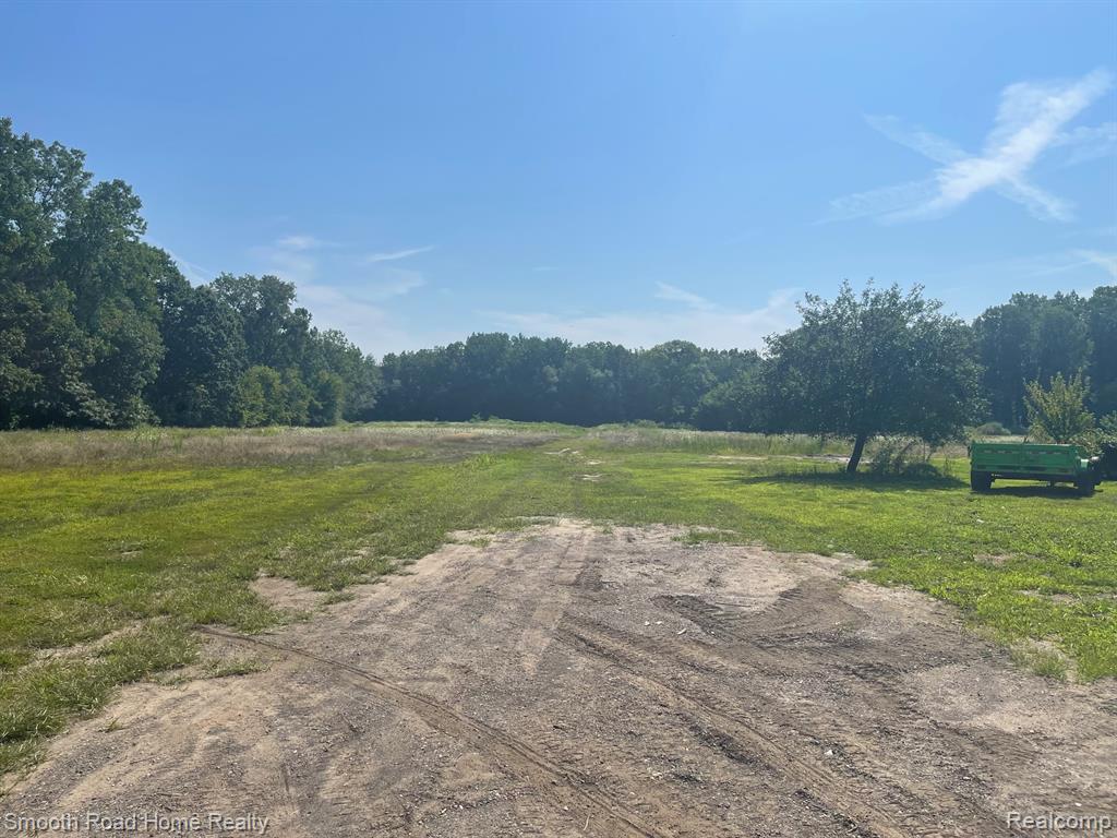 20375 Sumpter Road, Belleville, MI 48111 — Photo 5