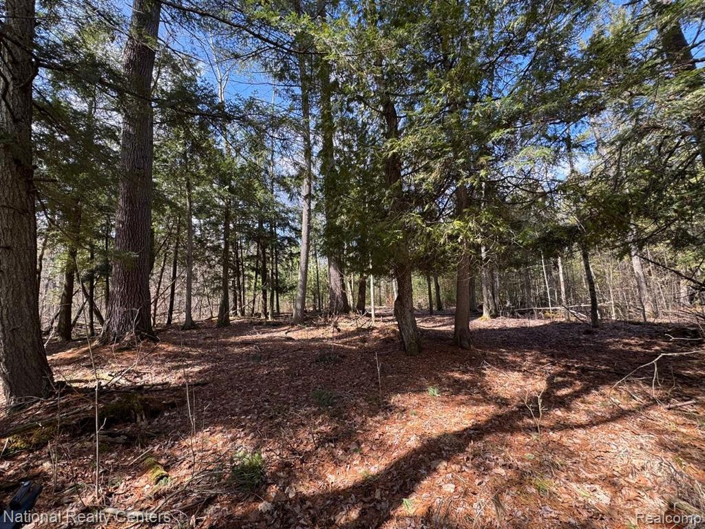 4233 Hardacre Trail, Houghton Lake, MI 48629 — Photo 3