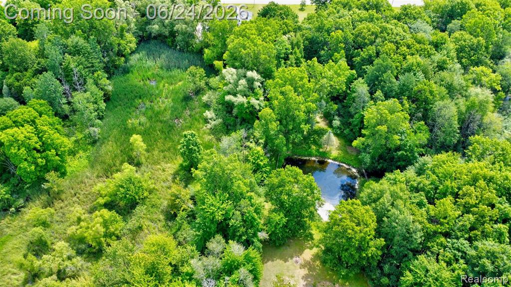 13252 Dixie Highway, Holly, MI 48442 — Photo 40