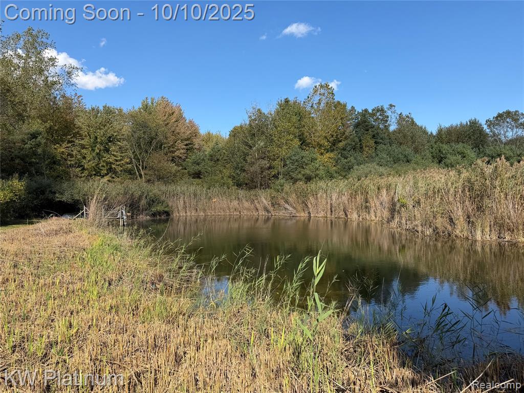 4663 Hessen Road, Casco, MI 48064 — Photo 51