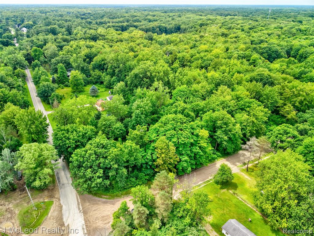 VL N Lewis Road, Clio, MI 48420 — Photo 6