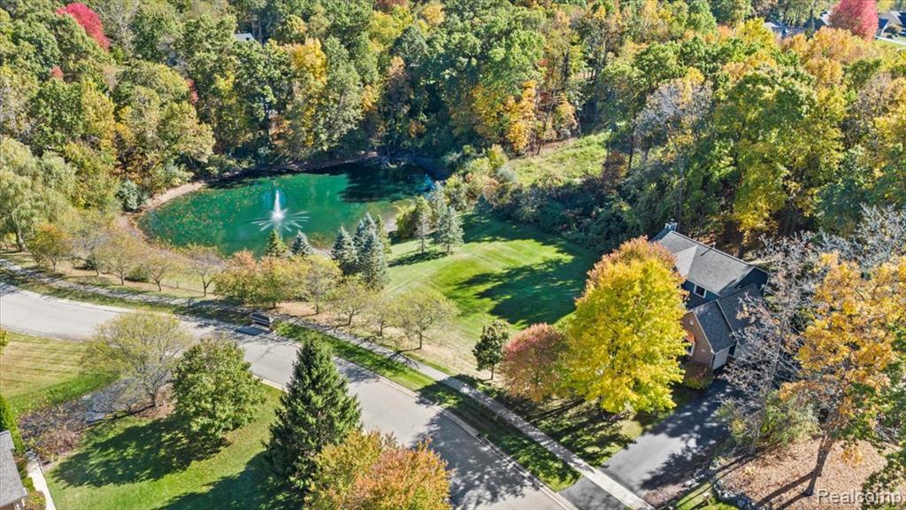 9755 Forest Ridge Drive, Clarkston, MI 48348 — Photo 5