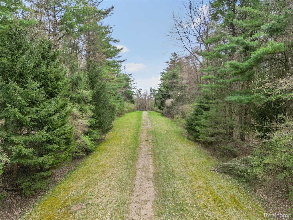 4.23 Acres VL - KNIGHTS BRIDGE Road, Leonard, MI 48367 — Photo 19