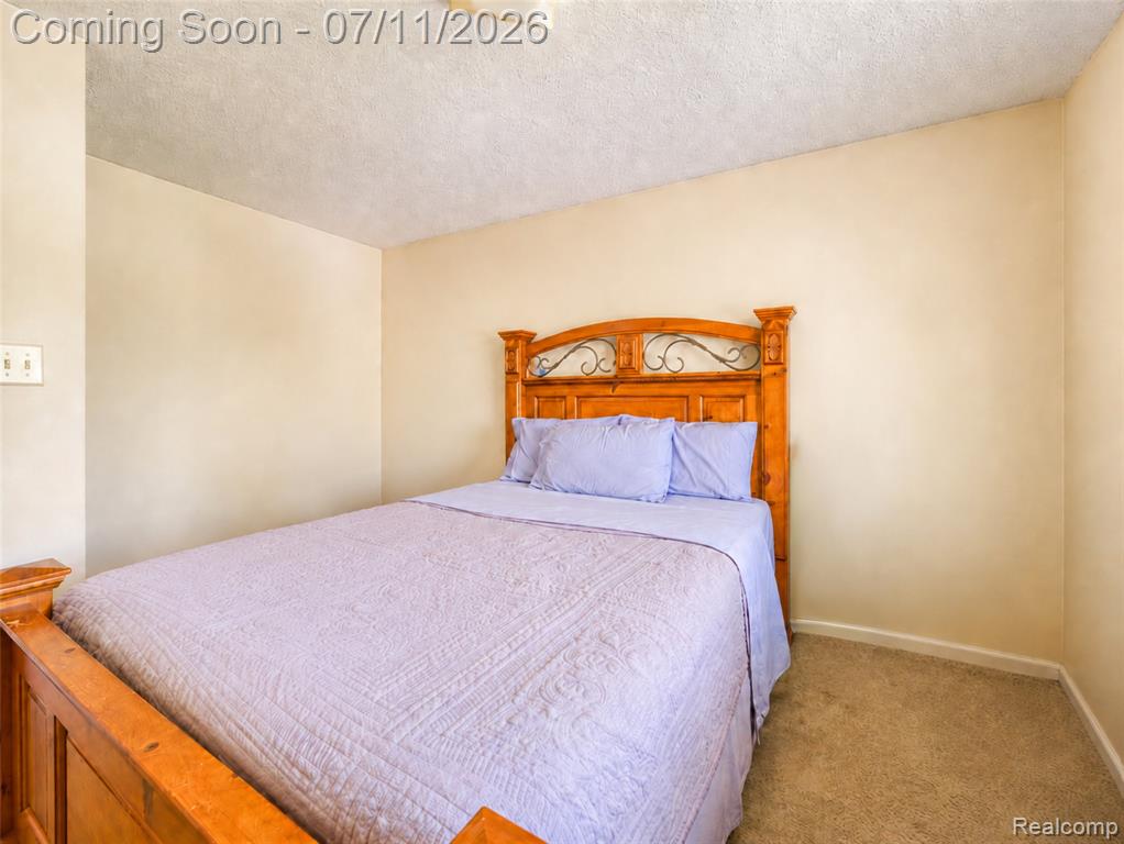 13129 Evelyn Court, Belleville, MI 48111 — Photo 21