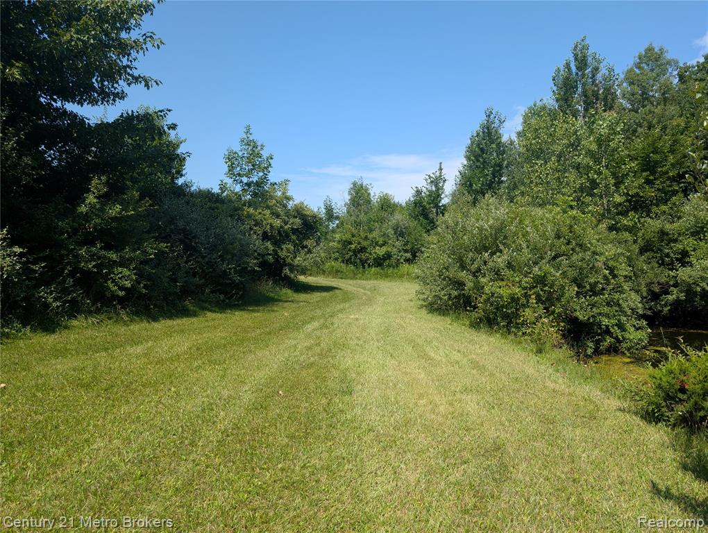 10190 Oak Road, Otisville, MI 48463 — Photo 30