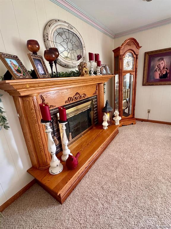 6686 Schott Road, Mayville Vlg, MI 48744 — Photo 10