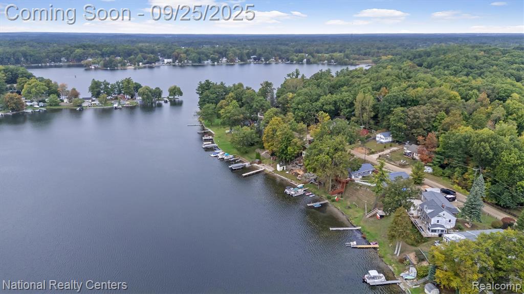 1136 Lakeshore Drive, Columbiaville, MI 48421 — Photo 29