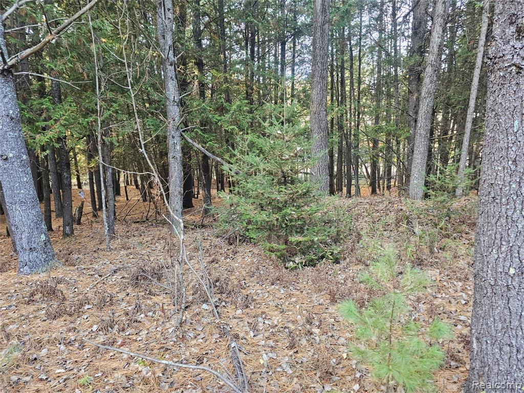 4901 M-55, Tawas City, MI 48763 — Photo 38