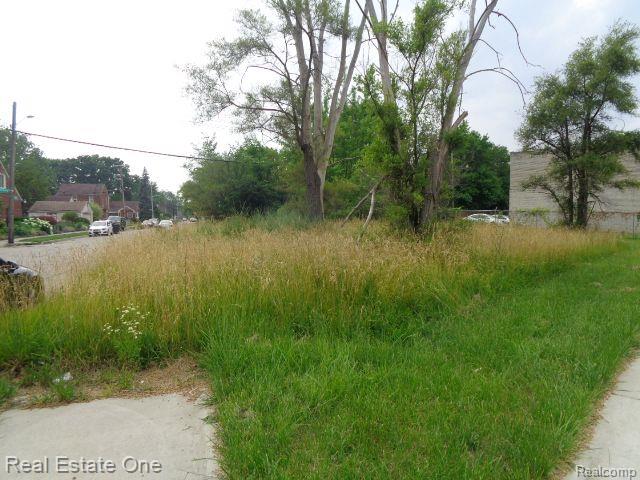 18553 JAMES COUZENS, Detroit, MI 48235 — Photo 2