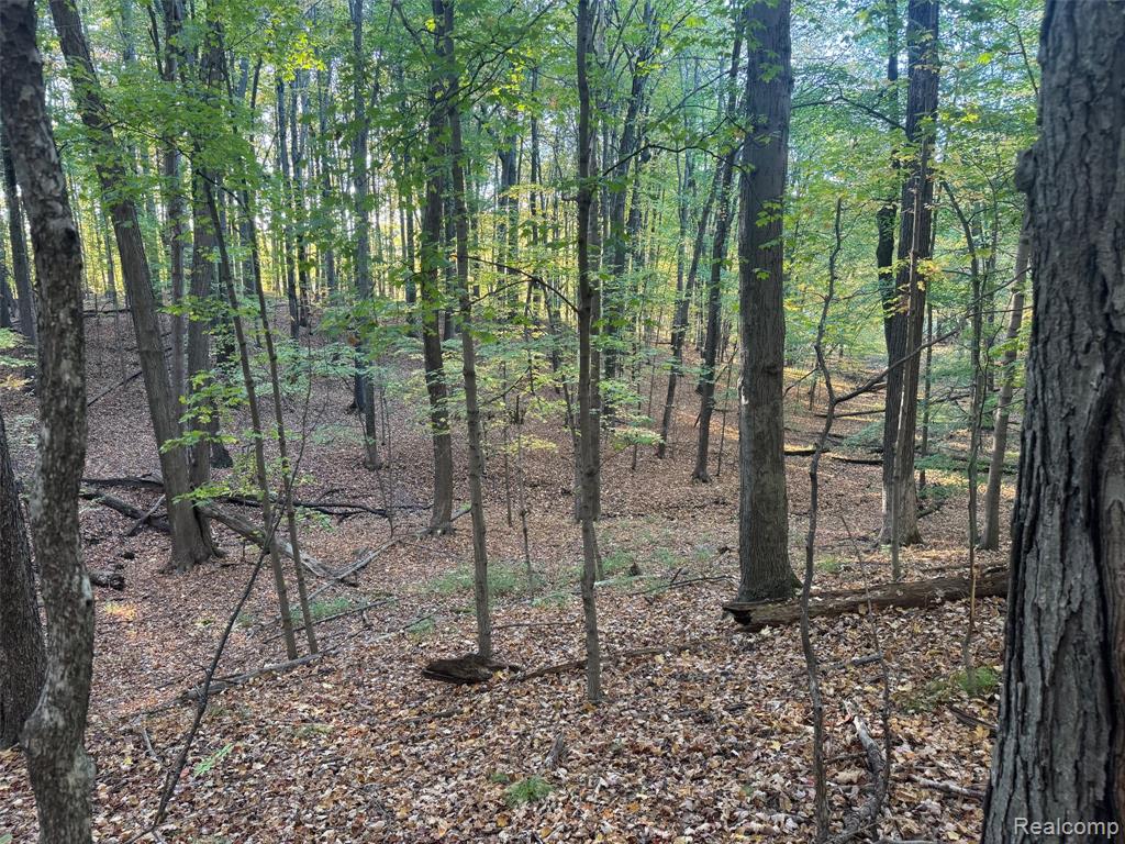 VL Rock Valley Road, Metamora, MI 48455 — Photo 8