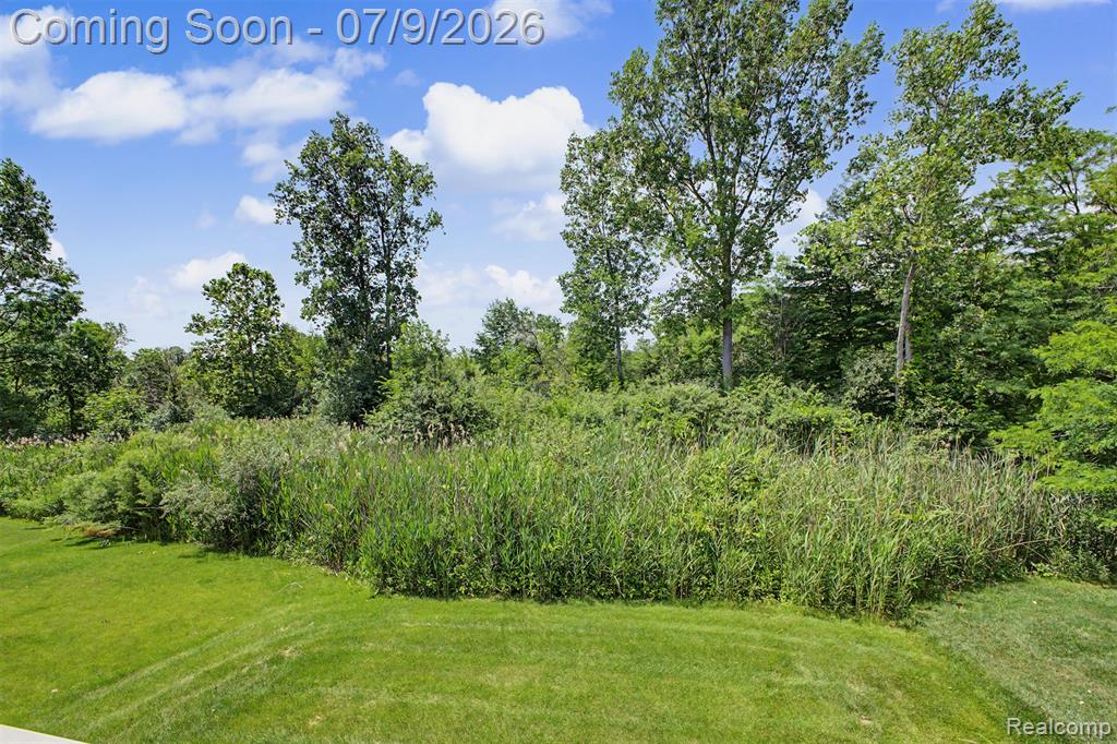 18729 Cumberland Court, Northville, MI 48168 — Photo 51