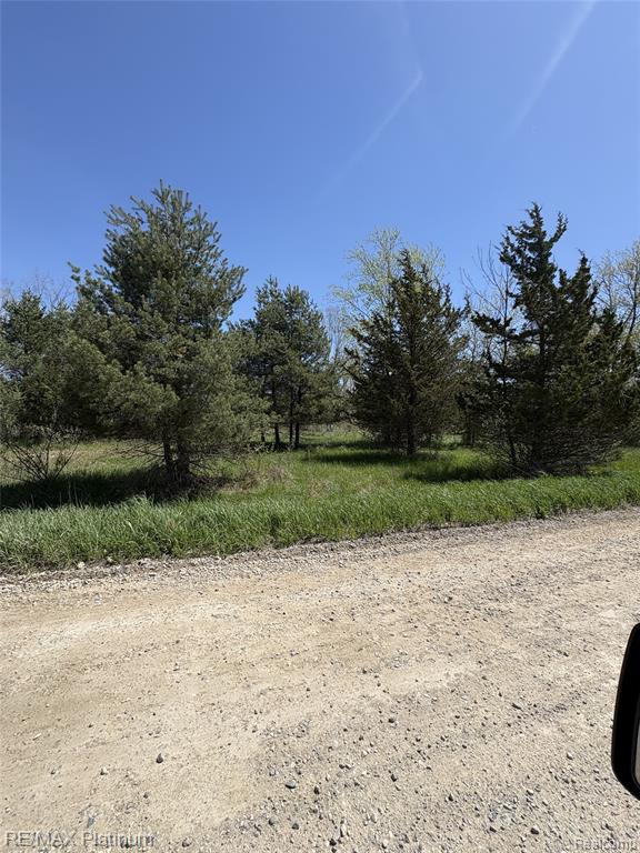 Parcel 5 Fisher Road, Howell, MI 48855 — Photo 3
