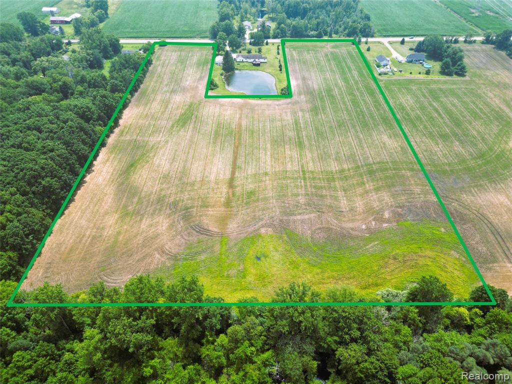 9654 BIRCH RUN Road, Millington, MI 48746 — Photo 4