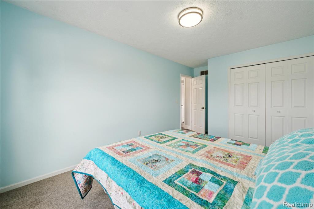 5817 CARTER, Howell, MI 48843 — Photo 20