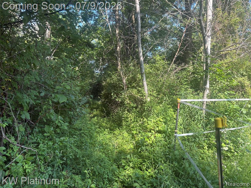 7280 North Road Road, Burtchville, MI 48059 — Photo 38