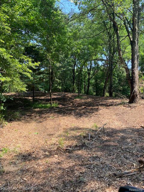 4 Sleaford-Parcel 4 - 32.92 Acres Road, Howell, MI 48843 — Photo 12