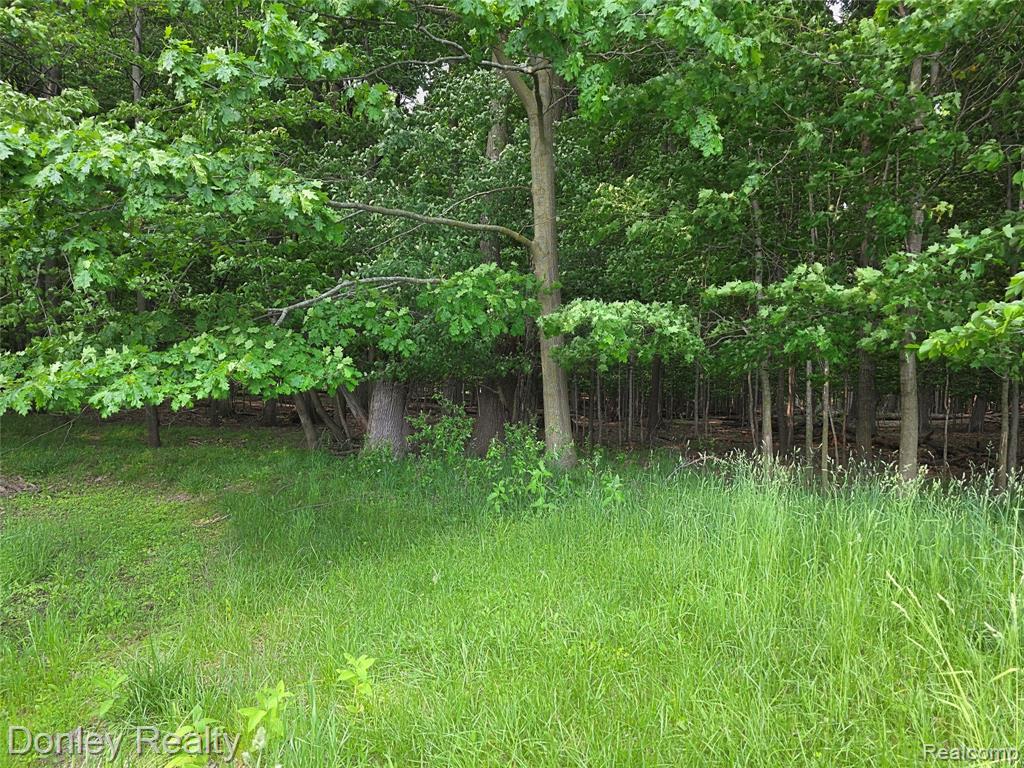 5900 Frenchline Road, Marlette, MI 48453 — Photo 5