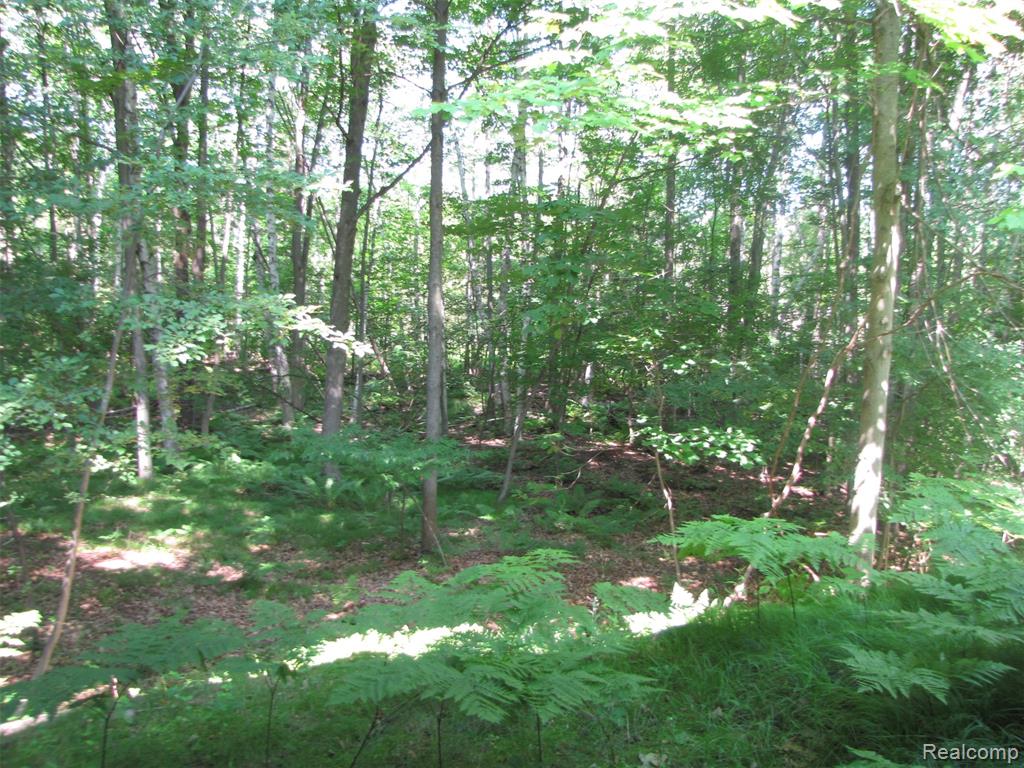 1576 Pine Knoll Lane, Caro, MI 48723 — Photo 27