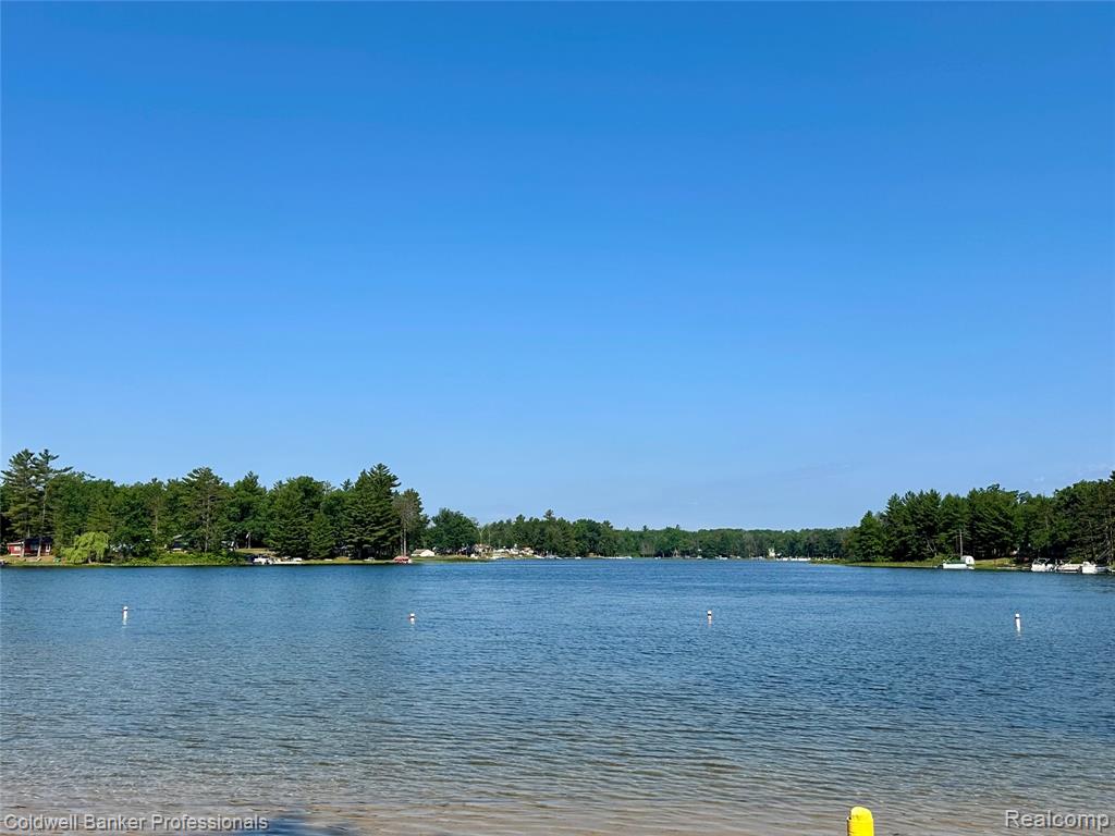 7351 Chain Lake Drive, South Branch, MI, 48761