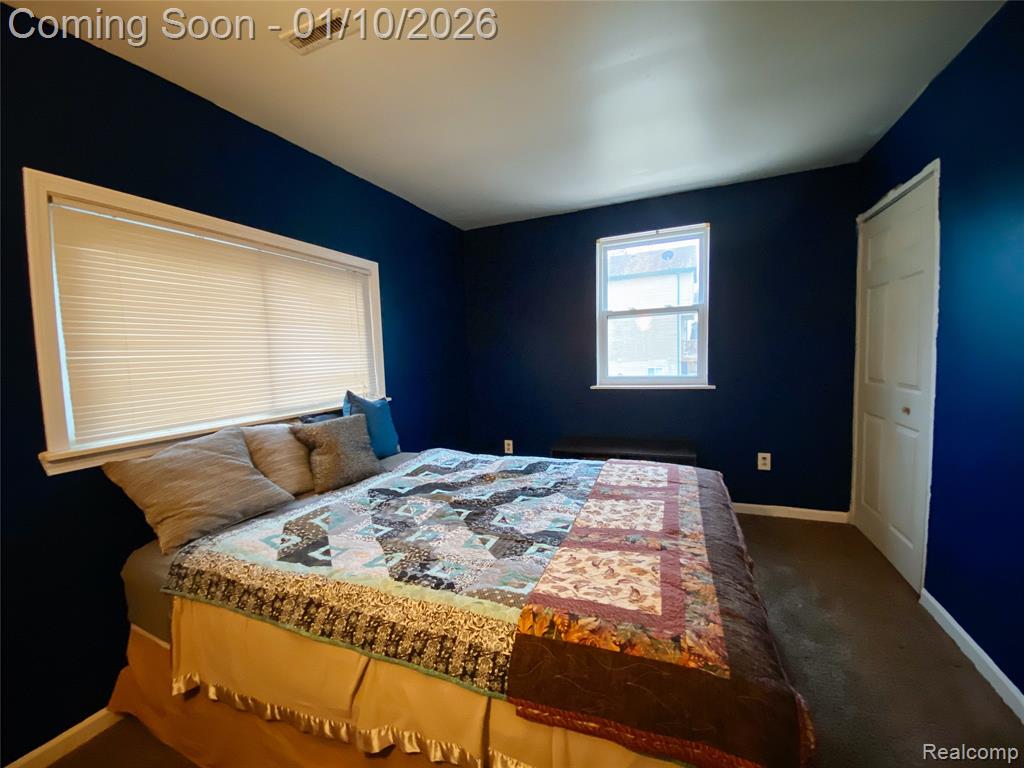 2045 Birch Street, Hartland, MI 48353 — Photo 10