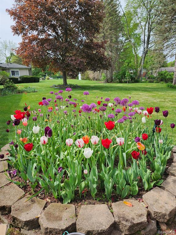 6865 FREDMOOR Drive, Troy, MI 48098 — Photo 57
