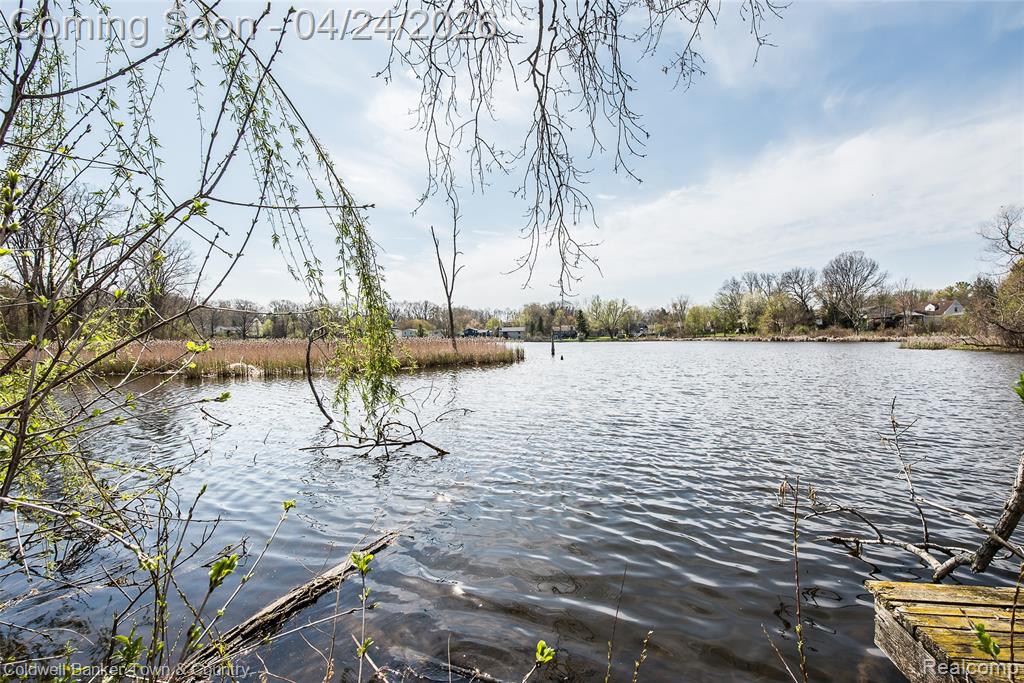 707 Glenwyth Road, Brighton, MI 48116 — Photo 39