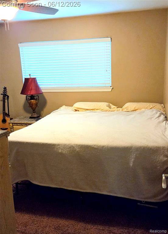 417 Shana Drive, Canton, MI 48187 — Photo 23
