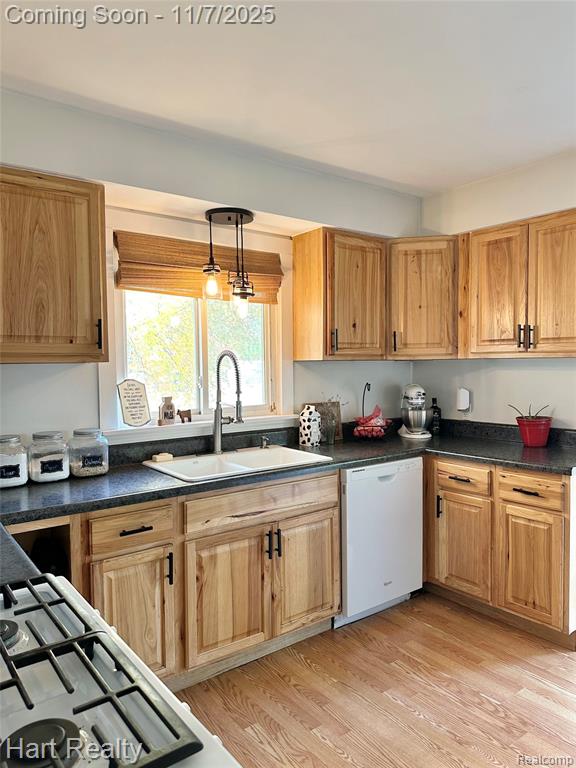 6865 Saint Marys Street, Brown, MI 48416 — Photo 8
