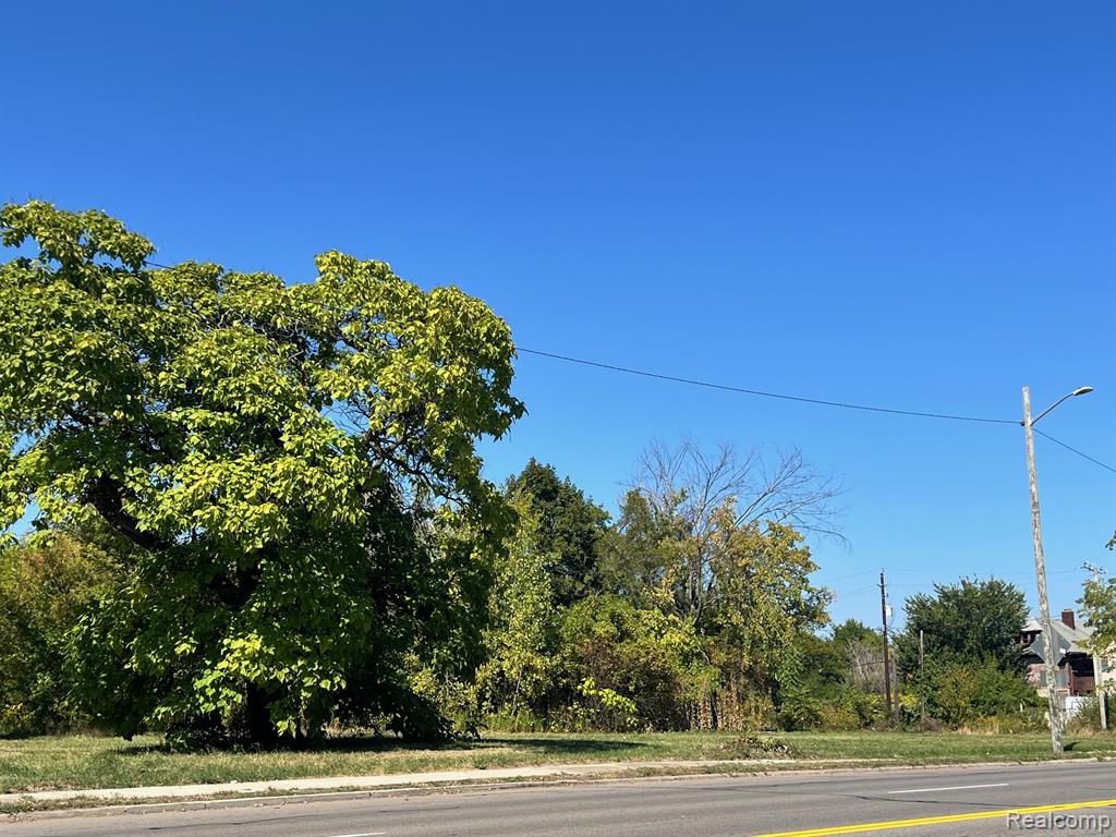 2943 E Vernor Highway, Detroit, MI 48207 — Photo 4