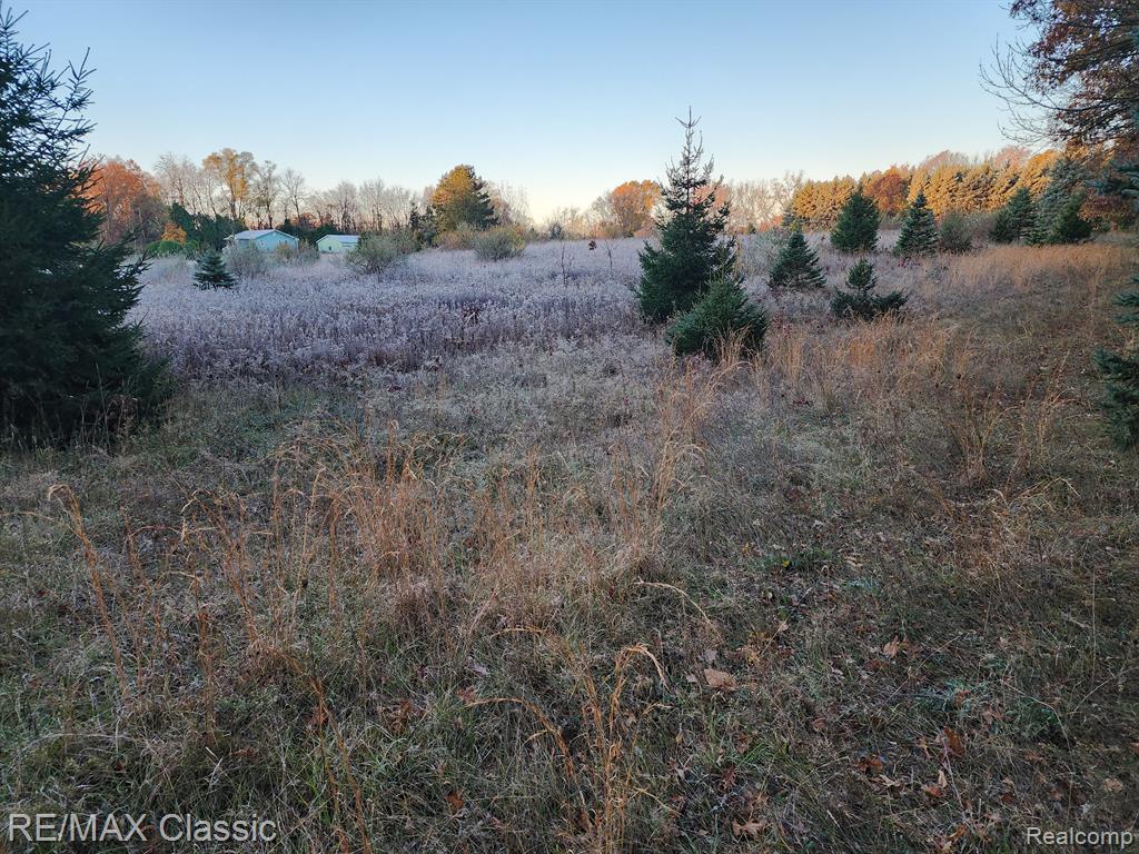 4125 N TIPSICO LAKE Road, Hartland, MI 48353 — Photo 16