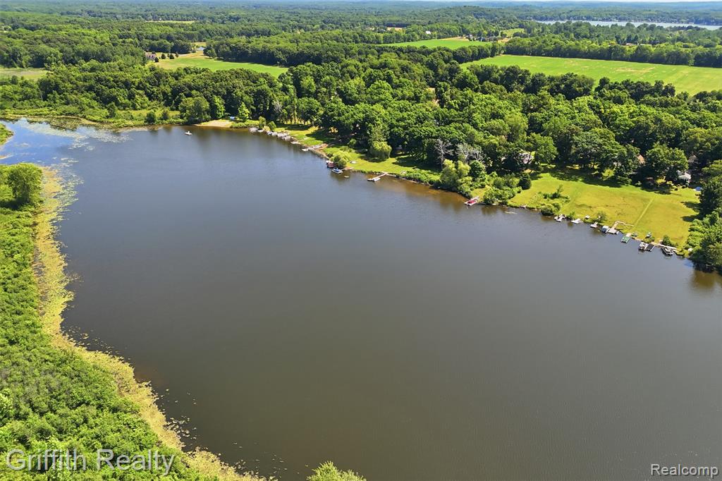 260 Ellsworth Lake Drive, Gregory, MI 48137 — Photo 40