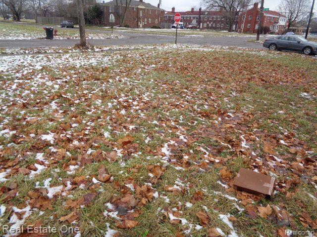 3200 W BOSTON Boulevard, Detroit, MI 48206 — Photo 8