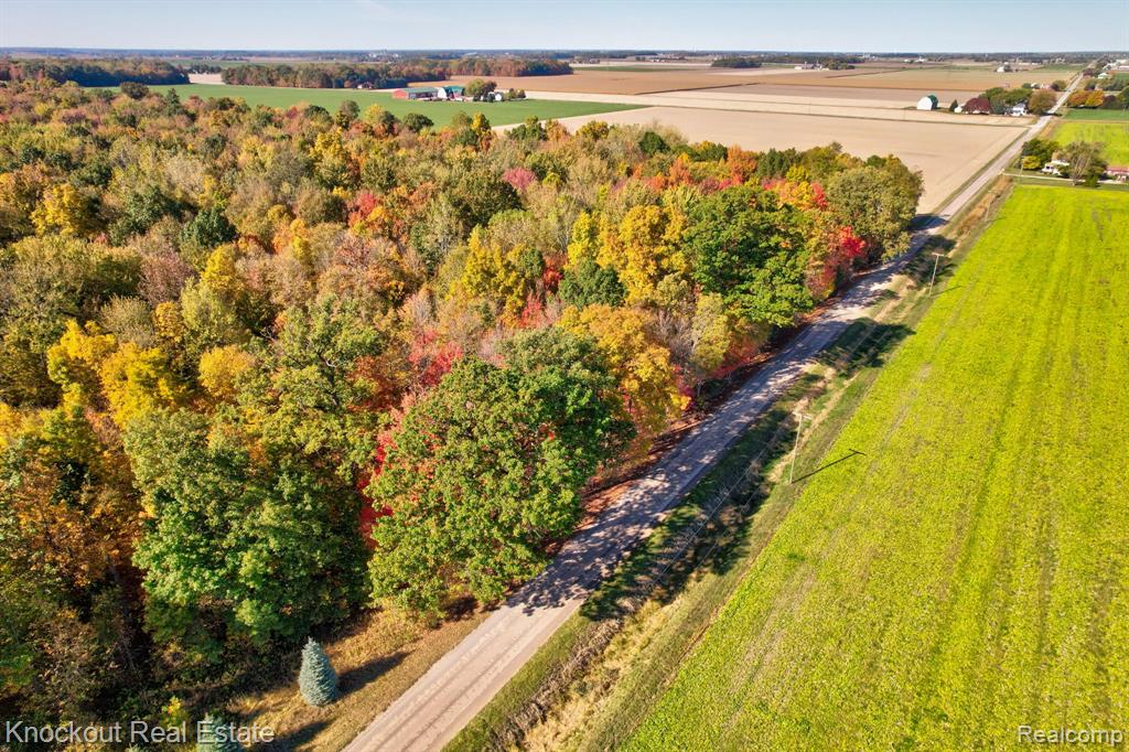 4000 S Reese Road, Frankenmuth, MI 48734 — Photo 18