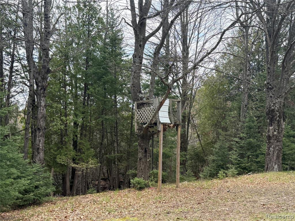 11245 Cedar Road, Lake, MI 48632 — Photo 38