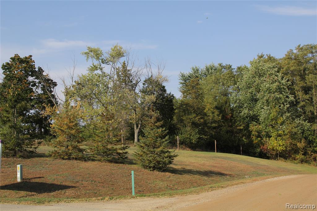123 BLOOMFIELD LOT#39 Boulevard, Brooklyn, MI 49230 — Photo 7